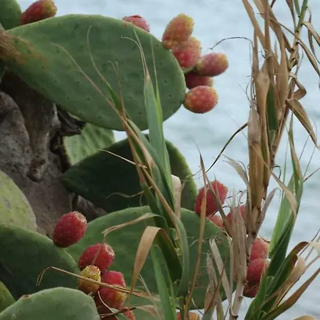 Terra D'occidente בית נופש