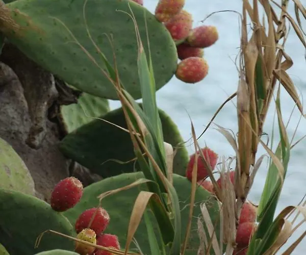 Terra D'occidente 펜션